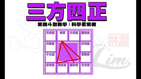 紫微正照|紫微斗數名詞解釋：三方四正 同宮 會照 對宮 相夾 廟陷